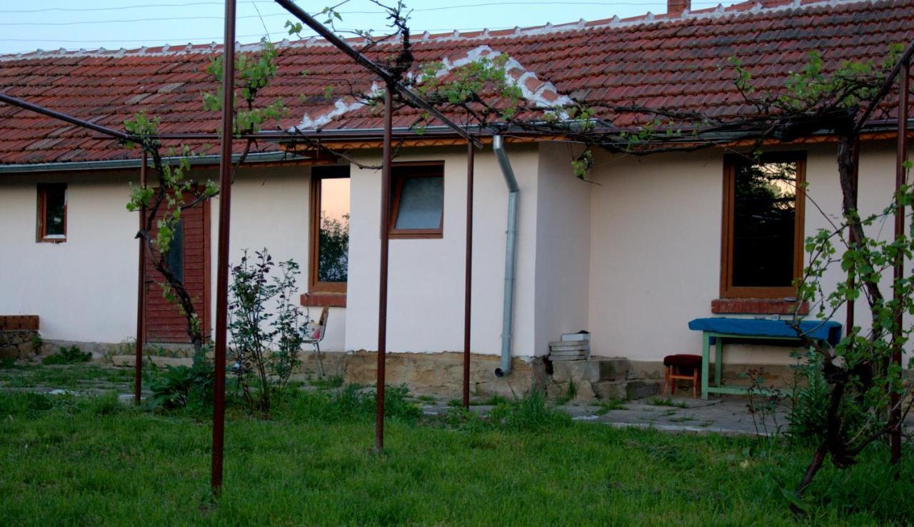 Guest House Art Eco Land Ganchovets Екстер'єр фото